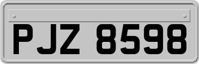 PJZ8598