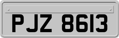 PJZ8613