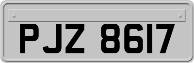 PJZ8617
