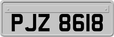PJZ8618
