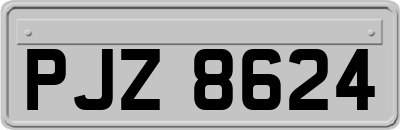 PJZ8624