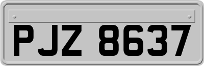 PJZ8637