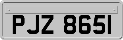 PJZ8651