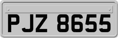 PJZ8655