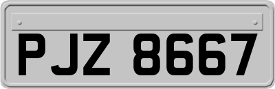 PJZ8667