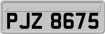 PJZ8675