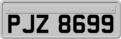 PJZ8699
