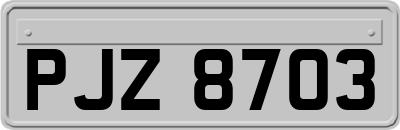 PJZ8703