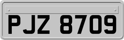 PJZ8709