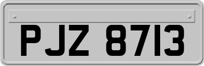 PJZ8713
