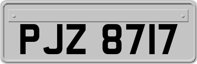 PJZ8717