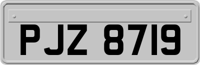 PJZ8719