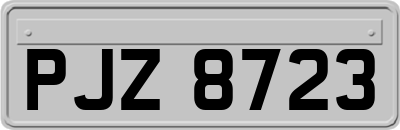 PJZ8723