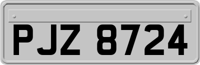 PJZ8724