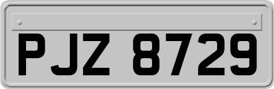 PJZ8729