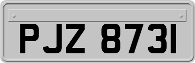 PJZ8731