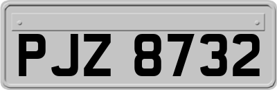 PJZ8732