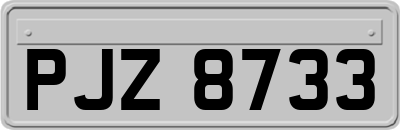 PJZ8733