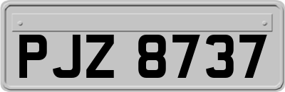 PJZ8737
