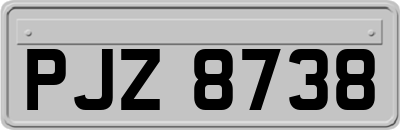 PJZ8738