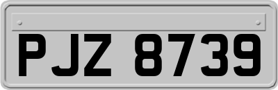 PJZ8739