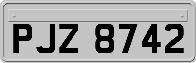 PJZ8742