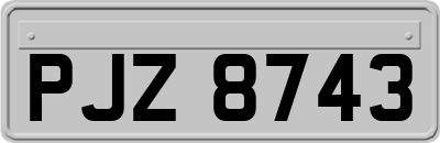 PJZ8743