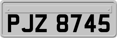 PJZ8745
