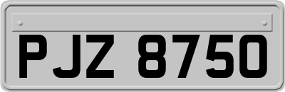 PJZ8750