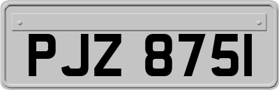 PJZ8751