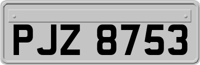 PJZ8753