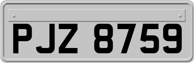 PJZ8759