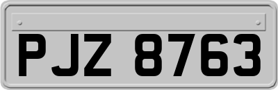 PJZ8763