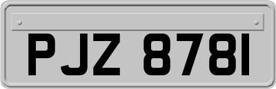 PJZ8781
