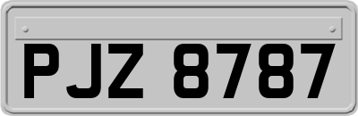 PJZ8787