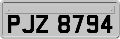 PJZ8794