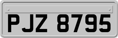 PJZ8795
