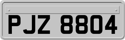 PJZ8804