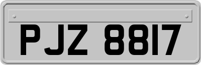 PJZ8817