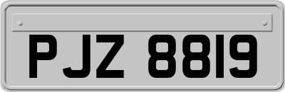 PJZ8819