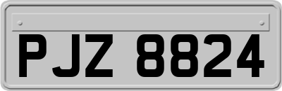 PJZ8824
