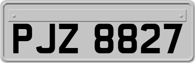 PJZ8827