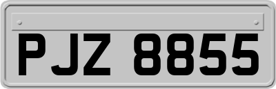 PJZ8855