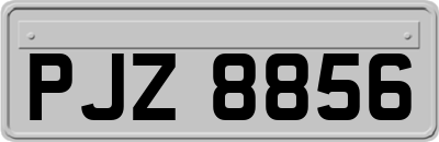PJZ8856