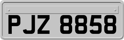 PJZ8858