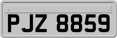 PJZ8859