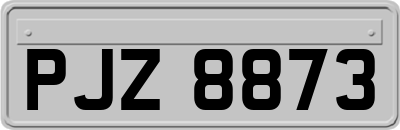 PJZ8873