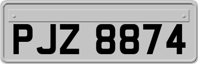 PJZ8874