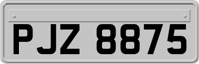 PJZ8875