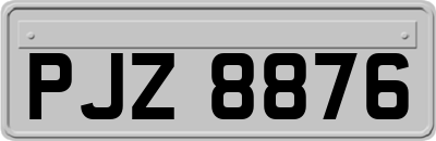 PJZ8876